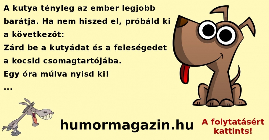 Az ember legjobb bartja