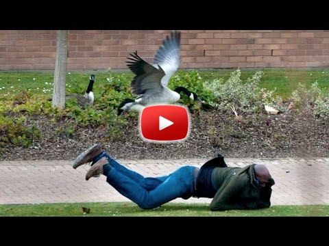 A legviccesebb llati pillanatok