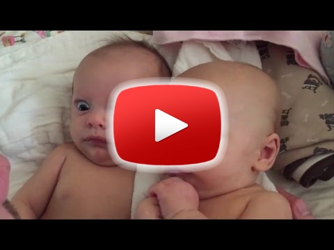 Top 10 Vicces Baba Videk 2015 - YouTube